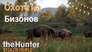 Охота на Безонов в || theHunter: Call of the Wild ||