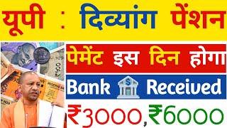 UP : दिव्यांग पेंशन (Bank Received) ₹3000 | Viklang Pension Kab Aaegi |विकलांग पेंशन |Divyang |