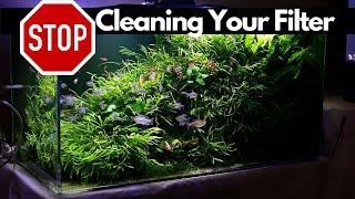 What filter is best for Planted Tank and how often should you clean your aquarium filter