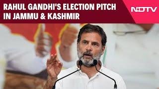 Jammu Kashmir Election News | Statehood And Ties Of Blood: Rahul Gandhi's Election Pitch In J&K