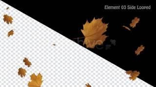 Falling Leaves Motion Graphics