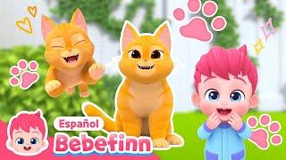 Gatito, Nuevo Miembro de la Familia Bebefinn | La Canción del Gato | Bebefinn Canciones Infantiles