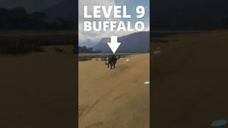 Hunting a MAX LEVEL buffalo is TOO EASY  | theHunter: Call of the Wild