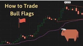 Bull Flags & Bull Pennants - Lesson on "The Rule of Three"