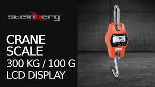 Crane Scale Steinberg Systems SBS-KW-300/100-O | Product presentation