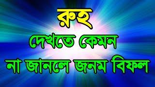 #রুহ #দেখতে #কেমন না জানলে #জন্ম #বিফল,#roh #dekte #kemon #na janle #jonom bifol