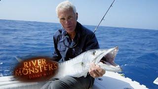 Jeremy Wade Catches FOUR Huge Barracuda! | BARRACUDA | River Monsters