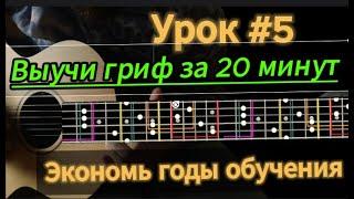 Урок #5. Теория Музыки с Нуля. ВЫУЧИ ГРИФ ЗА 20 МИН  CAGED #guitartheory #теориямузыки #fingerstyle