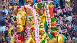 சிலுக்க சிலுக்க வாராரு எங்க அழகரய்யா | Alagarsong | Silukka | MaduraiChithiraiThiruvila2023