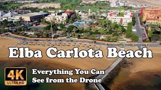 Elba Carlota Beach & Golf Resort Fuerteventura from Drone in 4K