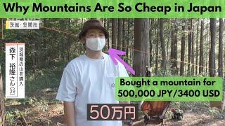 Unbelievably Cheap Mountain Real Estate in Japan: Great Investment or Financial Trap?