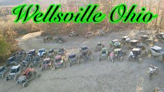 New lines from TIM CAMERON and the crew at WELLSVILLE