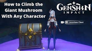 How to Climb The Chasm's Giant Mushroom With Any Character | Genshin Impact