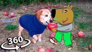 360º VR Dog with Apple in Mouth | Apple Dog AI Memes