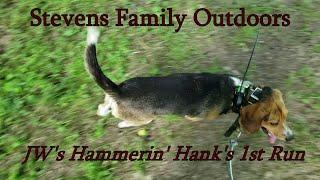 Hammerin' Hanks 1st run   Stevens Family Outdoors  Beagles & Bunnies