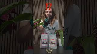 CANNA COCO A & B: so mischst du deinen Kokos-Dünger richtig! 🪴 #dünger #kokos #shortsvideo