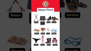 Always Plural | English Lesson