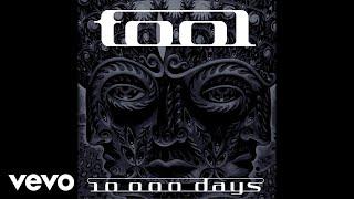 TOOL - Right In Two (Audio)