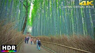 Kyoto Arashiyama Bamboo Forest Walk, Japan • 4K HDR