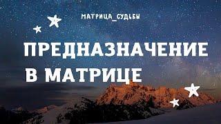 Предназначение в матрице 