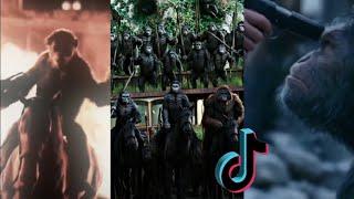 Planet Of The Apes Tiktok compilation *Must Watch*