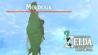  MOLDUGAS NOW SPAWN EVERYWHERE! (Zelda TOTK Randomizer v0.9.15) [1]