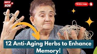 12 Best Anti-Aging Herbs for Memory, Brain Health, and Longevity! #wellnessity