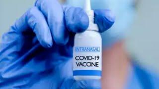 Covid-19: Bharat Biotech's nasal vaccine cleared for use