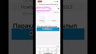 ИП төлемдерін оңай төлеу! Декрет төлемін төлеу.