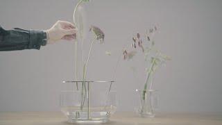 Fritz Hansen Ikebana Vase collection designed by Jaime Hayon