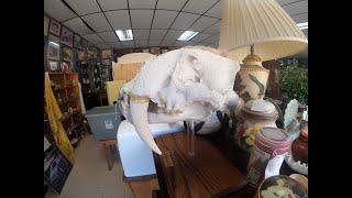 The LARGEST ANTIQUE STORE in North Carolina