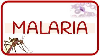 MALARIA - fisiopatología, ciclo de vida, manifestaciones clínicas, diagnóstico y tratamiento