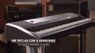 CASIO TECLADOS I CONCEPTUAL I CDP 130