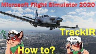 Microsoft Flight Simulator 2020: How to - TrackIR