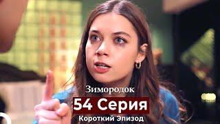 Зимородок 54 Cерия (Короткий Эпизод) (Русский дубляж)