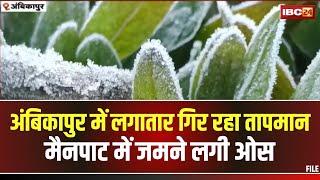 Ambikapur Weather Update: मैनपाट में जमने लगी ओस की बूंदे। अंबिकापुर में पड़ रही कड़ाके की ठंड