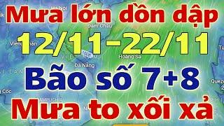 Tin bão biển Đông | Dự báo thời tiết hôm nay và ngày mai 13/11/2024 | dự báo bão mới nhất