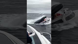 Big fish trying to eat boat ️with peoples #fish #attack #sea #boat #trending #shorts