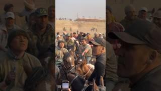 БУЗКАШИ ШАХРИ ХУЧАНД 12 03 2024 #buzkashi #horse #tv