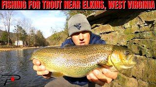 Trout Fishing Near Elkins West Virginia