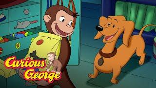 Sleepover  Curious George Kids Cartoon  Kids Movies Videos for Kids