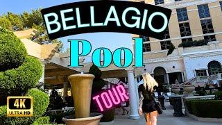 ️STUNNING Bellagio Pools Las Vegas | Walkthrough 2023