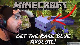 Minecraft - How to get Blue Axolotl in Minecraft 1.17 l Minecraft How to get the Rare Blue Axolotl