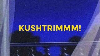 ballad for Kushtrim