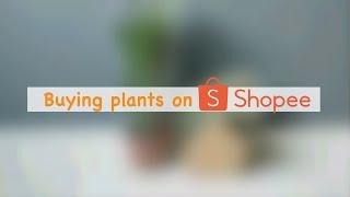 Unbox with me | Buying plants on Shopee