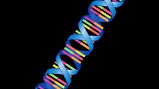 DNA, Chromosomes, and Genes