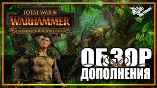 Total War: Warhammer Эльфы ● Realm of the Wood Elves ● Обзор дополнения с секретом!