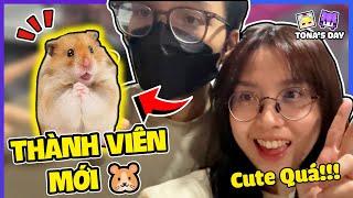 NABEE VÀ TÔ GÀ NHẬN NUÔI BÉ CHUỘT HAMSTER VÀO GIA ĐÌNH NHỎ - TONA'S DAY | Nabee TV