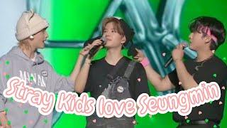 Stray Kids love Seungmin