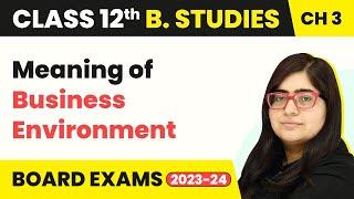 Meaning of Business Environment - Business Environment | Class 12 Business Studies Chapter 3